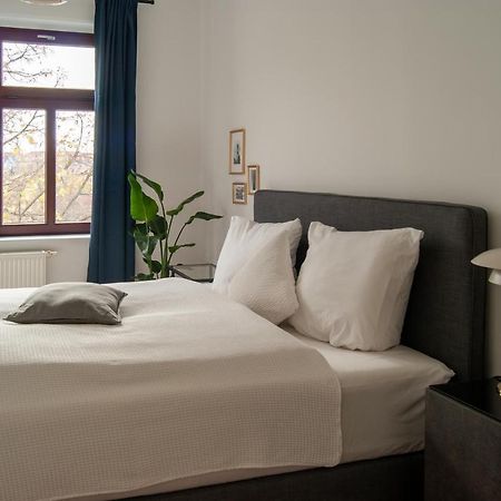Grosse Familienfreundliche Wohnung In Δρέσδη Εξωτερικό φωτογραφία