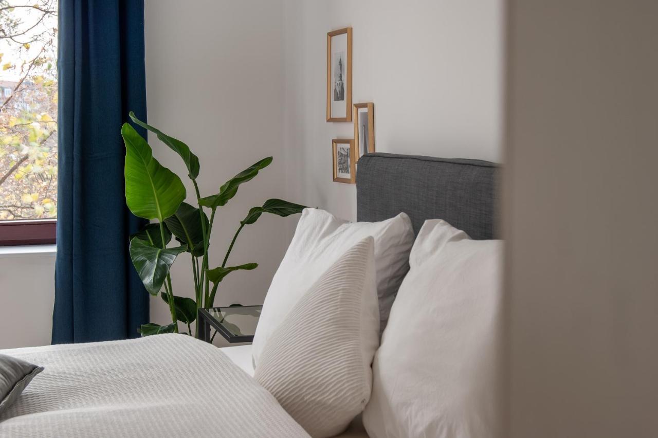 Grosse Familienfreundliche Wohnung In Δρέσδη Εξωτερικό φωτογραφία
