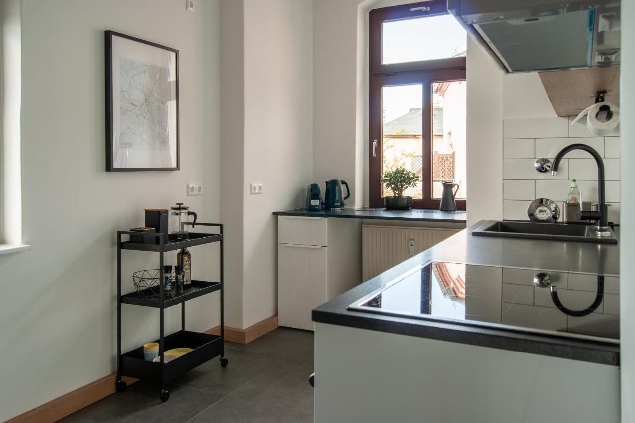 Grosse Familienfreundliche Wohnung In Δρέσδη Εξωτερικό φωτογραφία